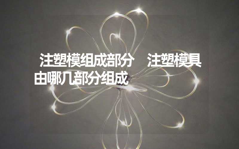 注塑模组成部分 注塑模具由哪几部分组成